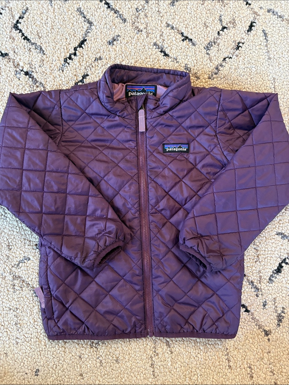 Patagonia Kids Puffer Jacket (5T) EUC